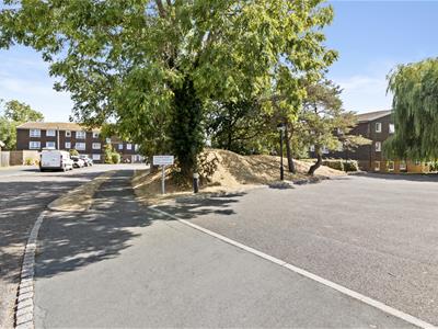 Picture 17
